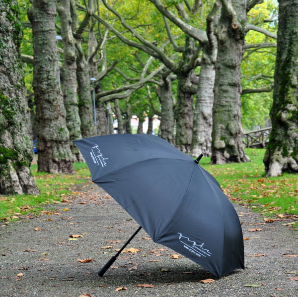 Automatic umbrella