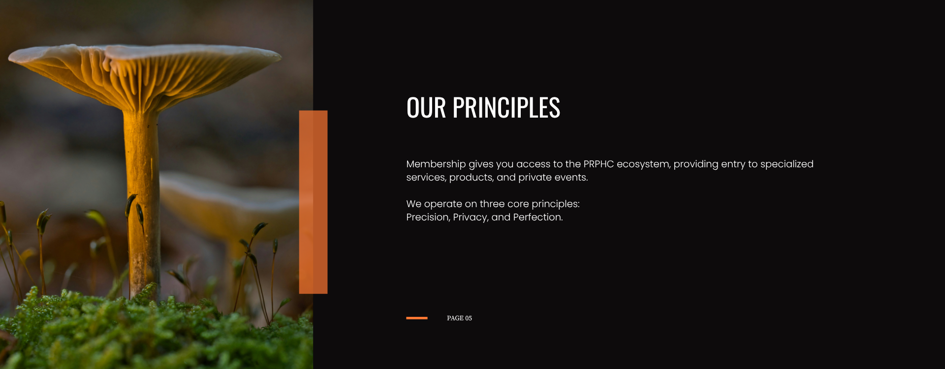 Precision, Privacy, and Perfection.